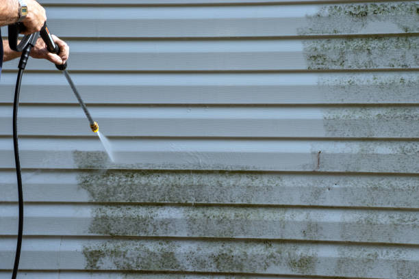 Best Steel Siding Installation  in Fennville, MI
