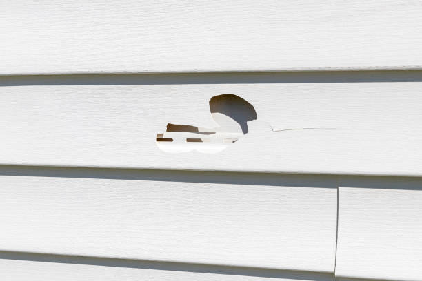 Best Siding Removal and Disposal  in Fennville, MI