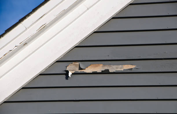 Best Siding for New Construction  in Fennville, MI