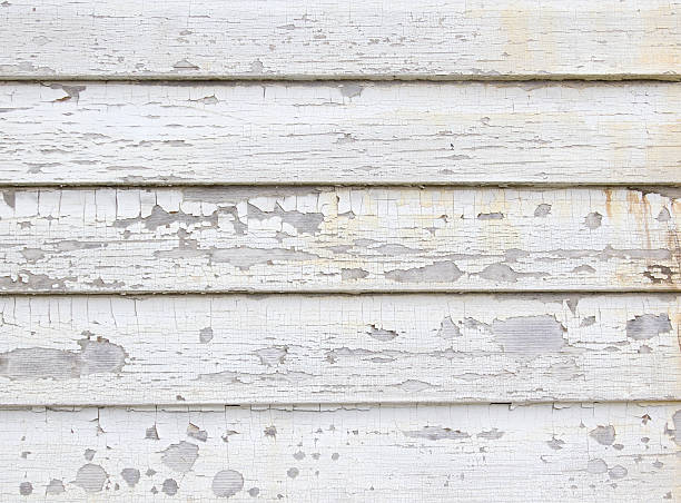 Best Fiber Cement Siding Installation  in Fennville, MI